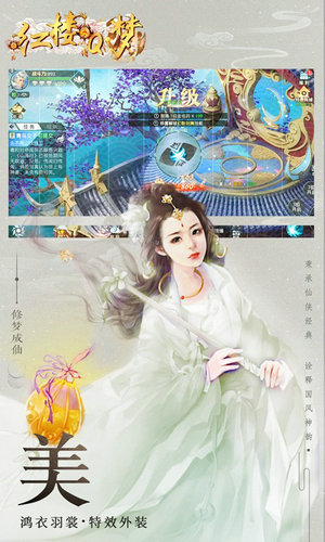 红楼q梦