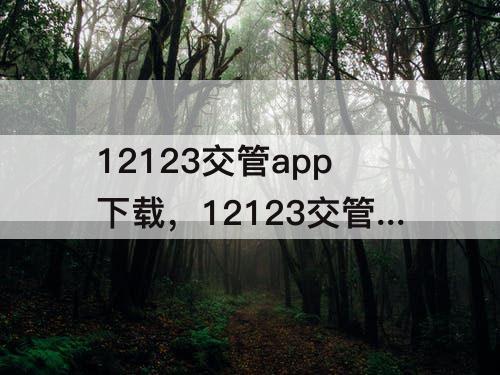12123交管app下载，12123交管app下载软件