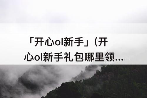 「开心ol新手」(开心ol新手礼包哪里领)