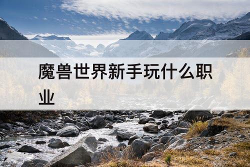 魔兽世界新手玩什么职业