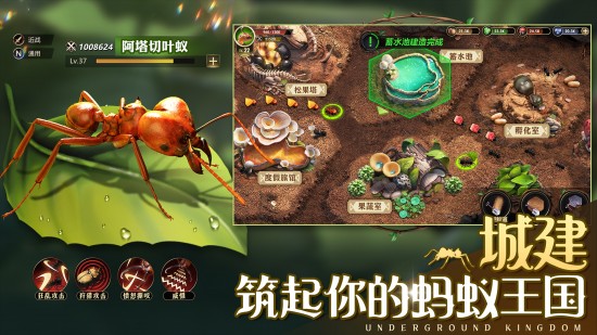 小小蚁国安卓版下载