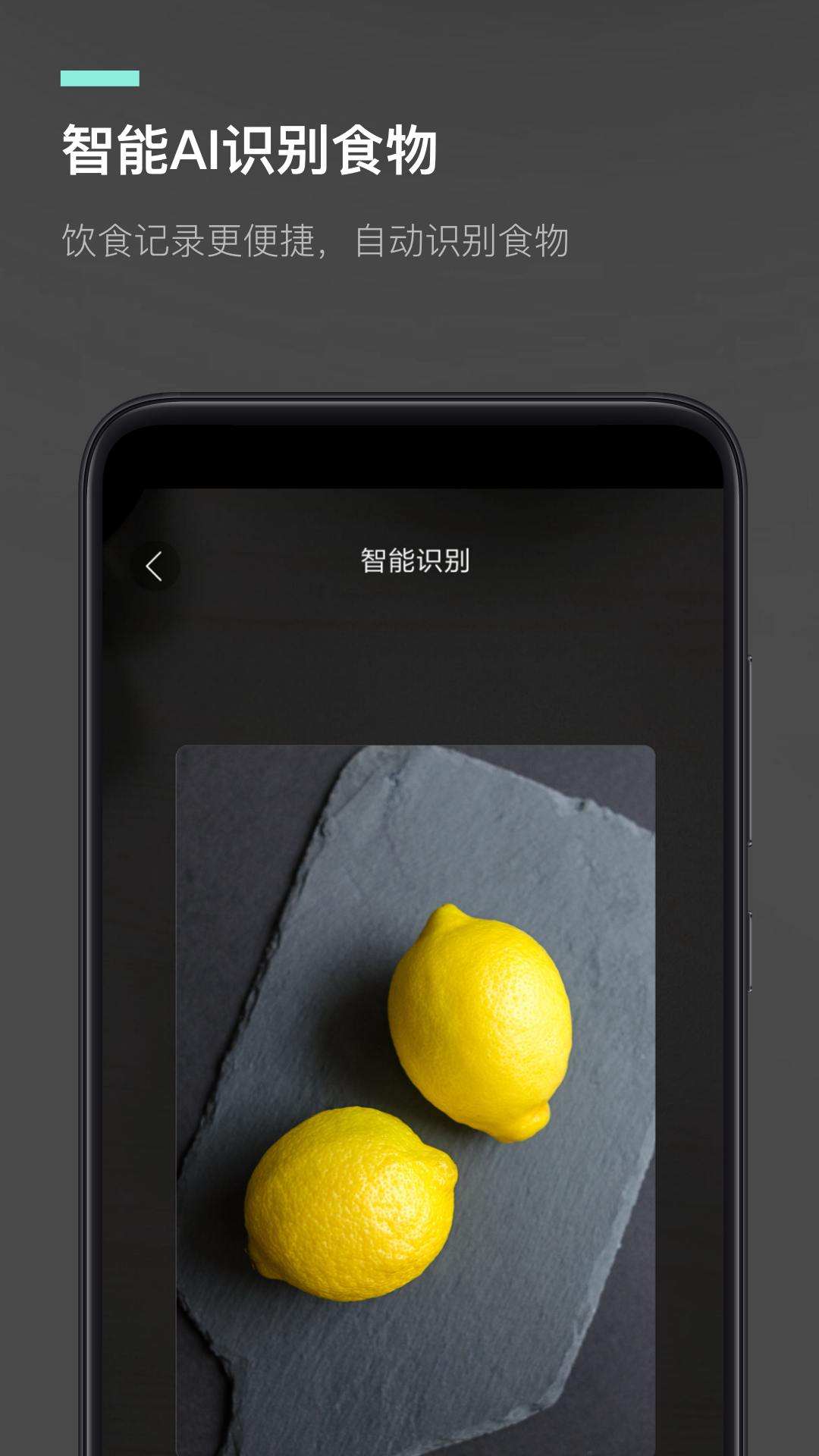 热量减肥法app下载官方最新版