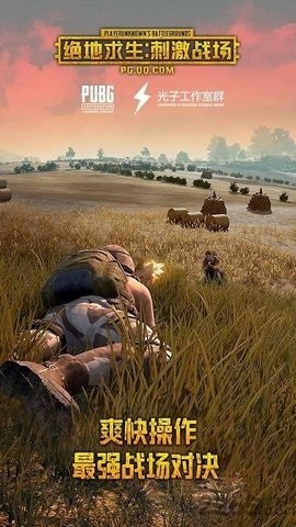 pubg国服下载正版2024最新下载