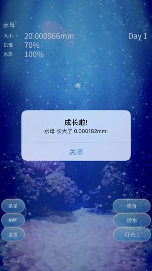 养育水母的治愈游戏手机版下载