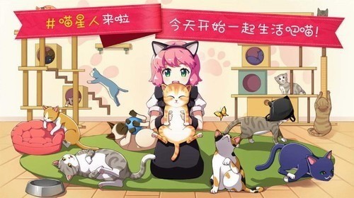 猫猫咖啡屋下载2024版