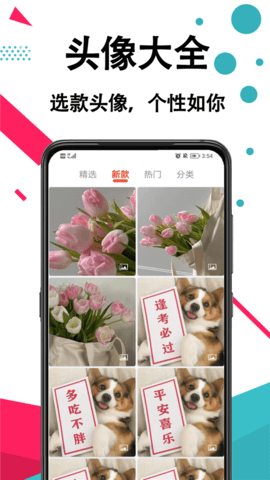 好看手机壁纸appios版下载安装