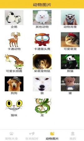 猫狗宠物大全app免费ios下载