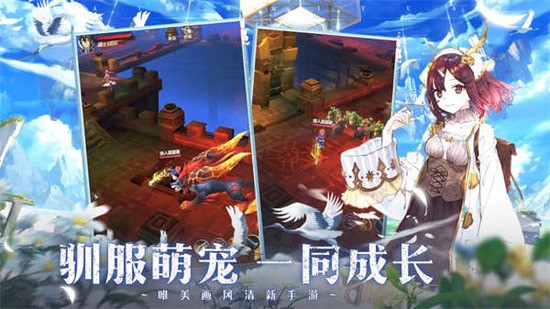 塞尔奇缘官方版安卓版下载最新版