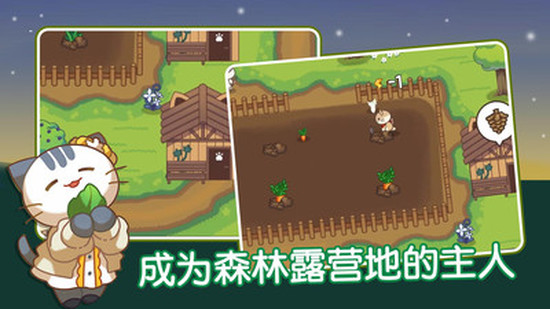 猫咪森林下载苹果版