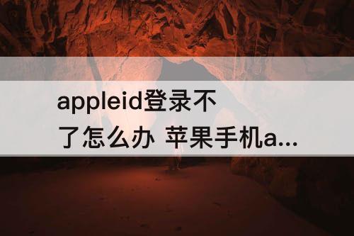 苹果手机appleid登录不了怎么办