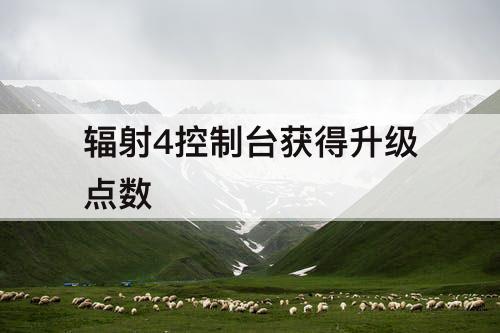 辐射4控制台获得升级点数