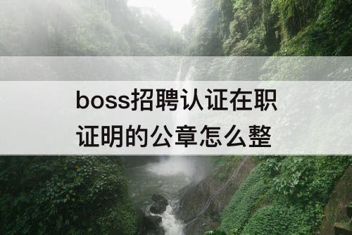 boss招聘认证在职证明的公章怎么整