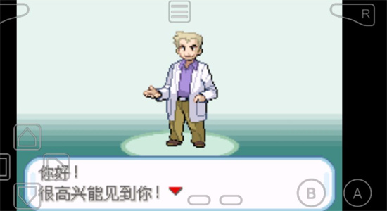 口袋妖怪圣光白
