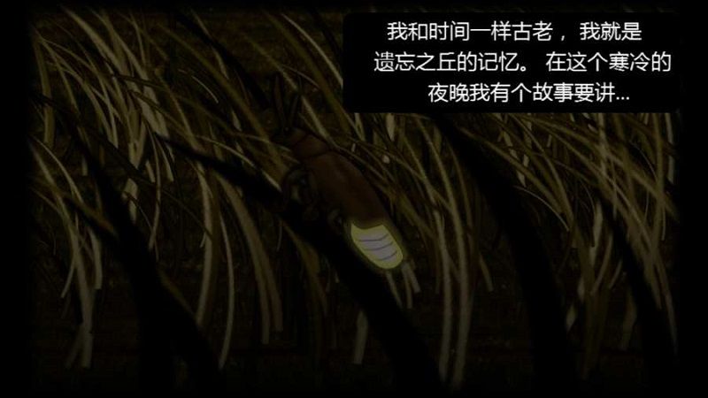 12102207zgxr.jpg