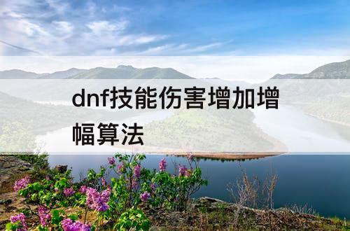 dnf技能伤害增加增幅算法