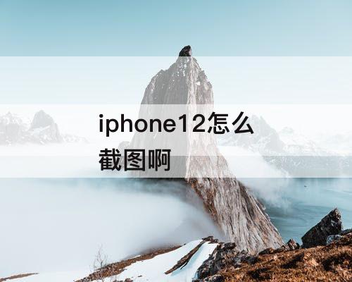 iphone12怎么截图啊