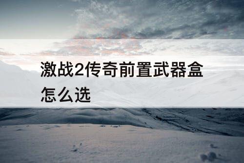 激战2传奇前置武器盒怎么选