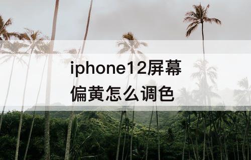 iphone12屏幕偏黄怎么调色