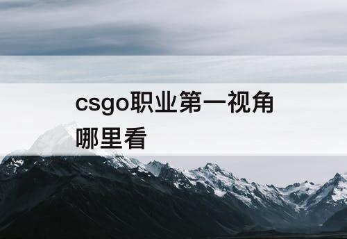 csgo职业第一视角哪里看