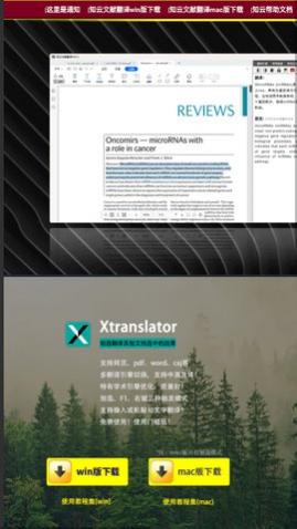 知云文献翻译官方版