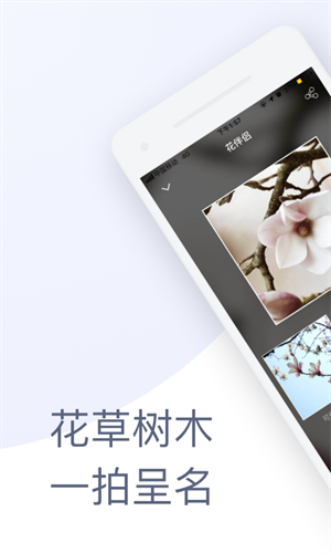 花伴侣app官方下载最新版