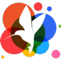 360小鸟壁纸软件app客户端