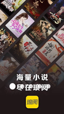 琅阅小说下载百度网盘资源