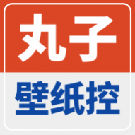 丸子壁纸控安卓app下载安装