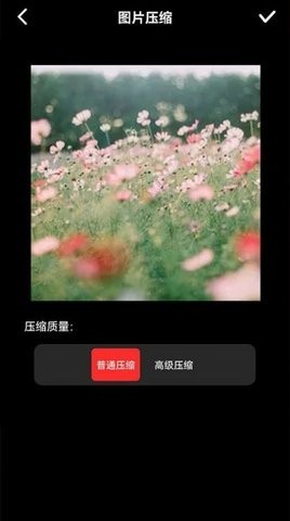 图像压缩器ios免费版