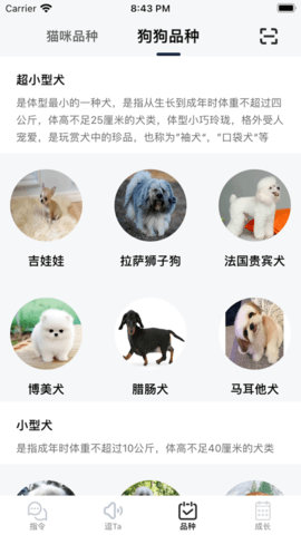 逗宠appios免费版