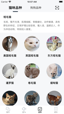逗宠appios免费版