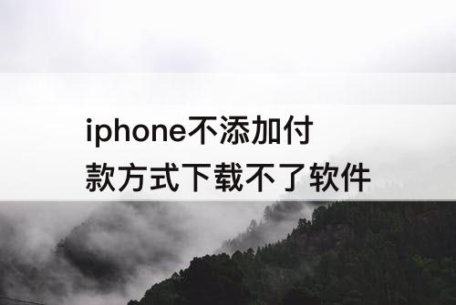 iphone不添加付款方式下载不了软件