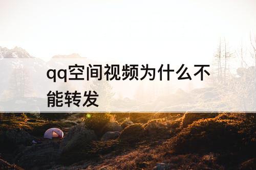qq空间视频为什么不能转发