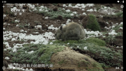 小电视去广告纯净版