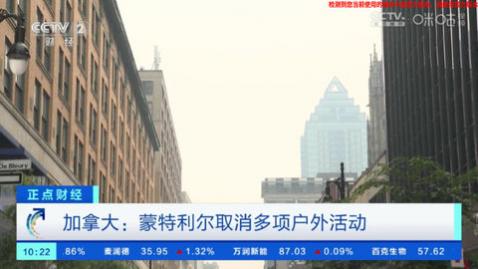 HD高清直播TV版