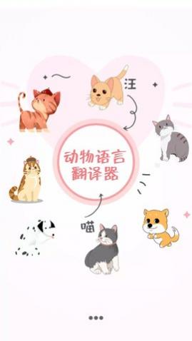 猫与翻译器app手机版