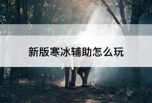 新版寒冰辅助怎么玩