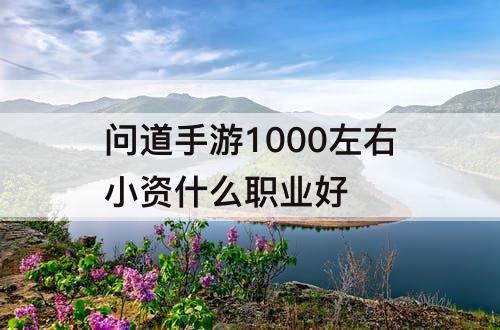 问道手游1000左右小资什么职业好