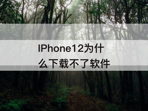 IPhone12为什么下载不了软件