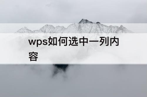 wps如何选中一列内容
