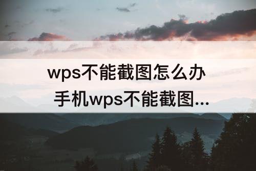 手机wps不能截图怎么办