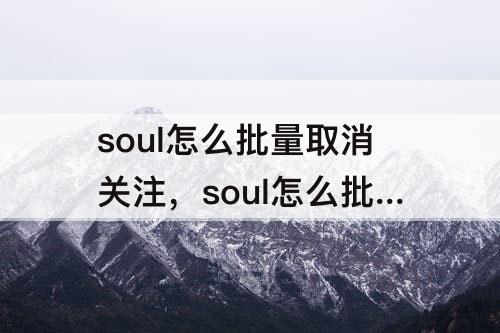 soul怎么批量取消关注的人