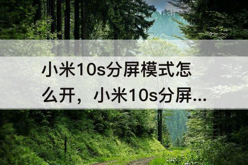 小米10s分屏模式怎么开不了