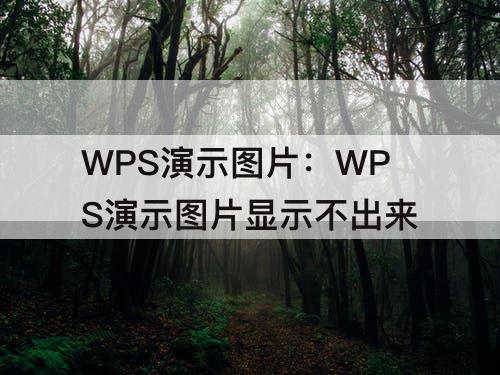WPS演示图片显示不出来