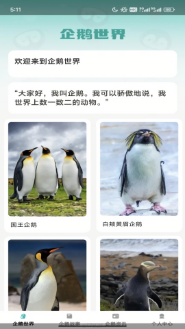 企鹅妙看免费苹果下载