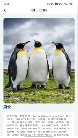 企鹅妙看免费苹果下载