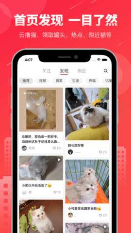 宠友社区手机版下载手机版本