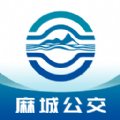 麻城公交2024版下载