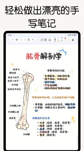 自由笔记ios下载手机版