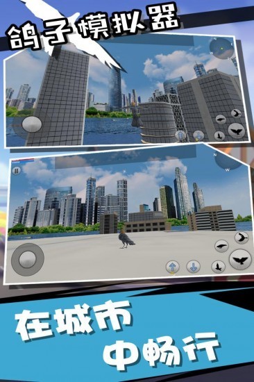 鸽子模拟器下载手机版